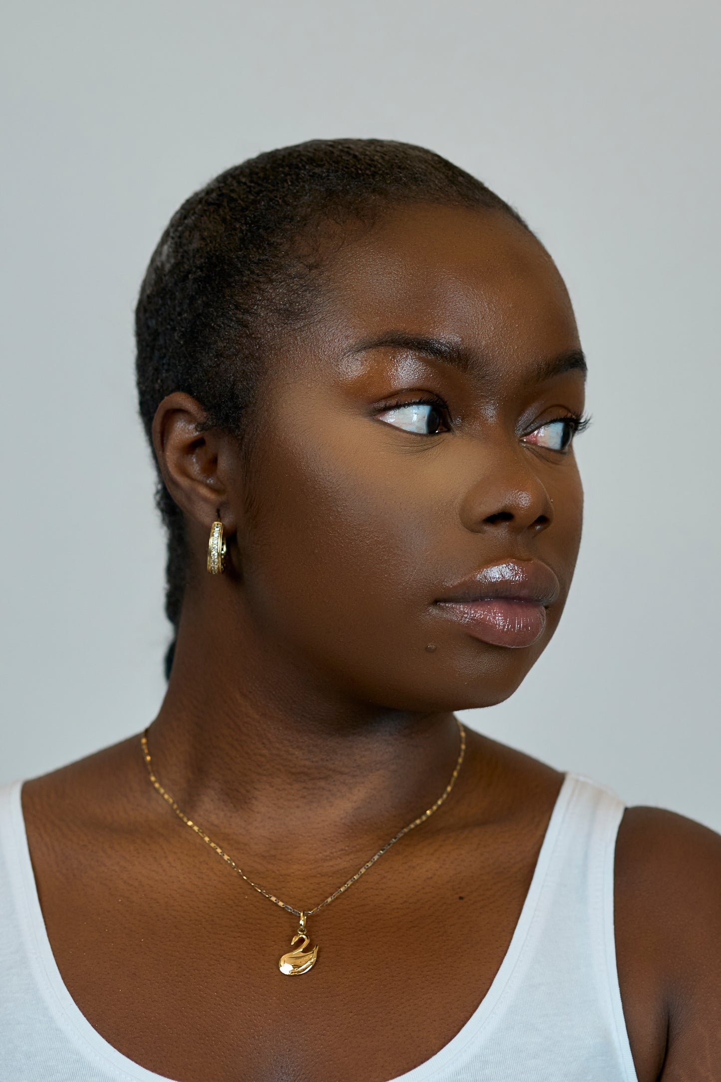Setting Powder